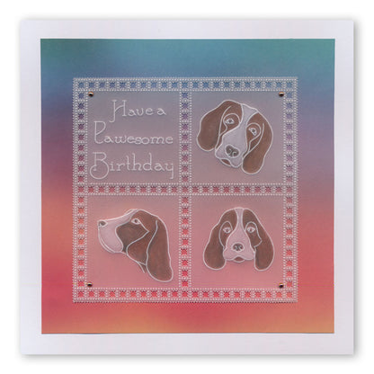CLEARANCE Springer Spaniels A6 Square Groovi Baby Plate