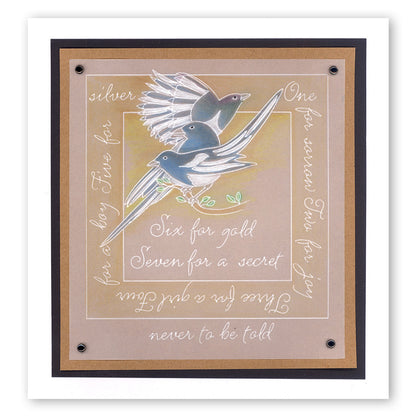 Magpies A6 Square Groovi Baby Plate Set