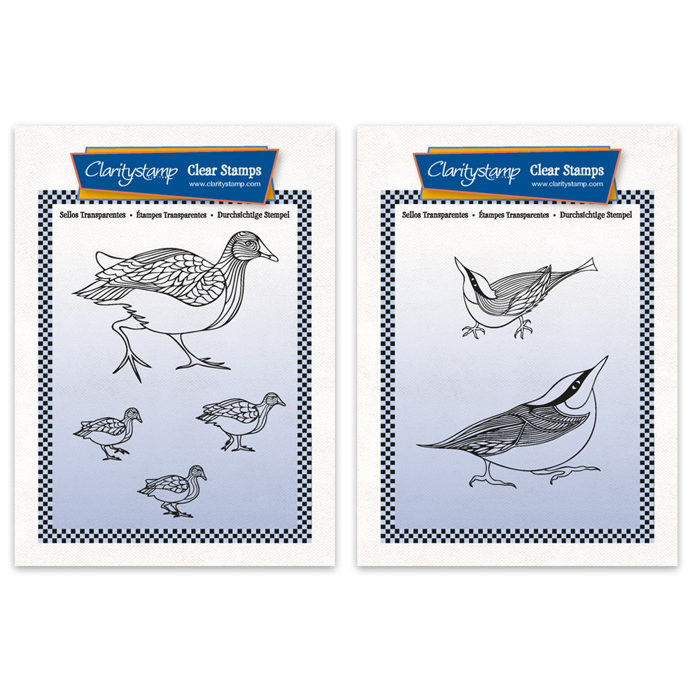 Moorhens & Nuthatches A6 Square Stamp & Mask Duo