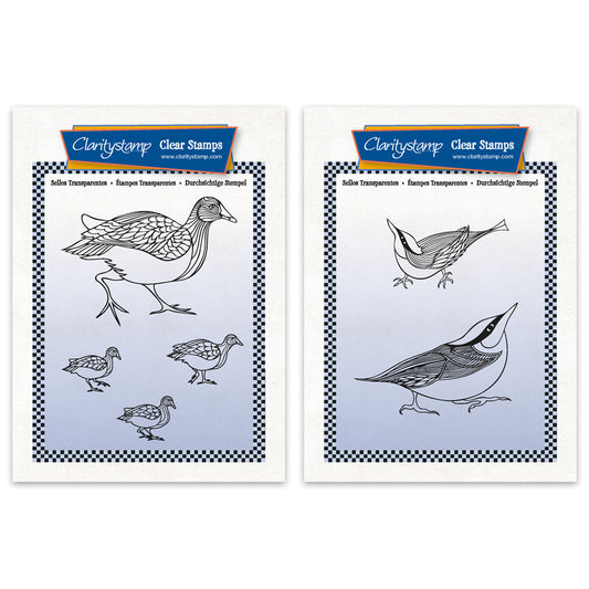 Moorhens & Nuthatches A6 Square Stamp & Mask Duo