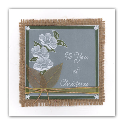 Calendar, Relatives & Occasions Groovi Border Plate Trio