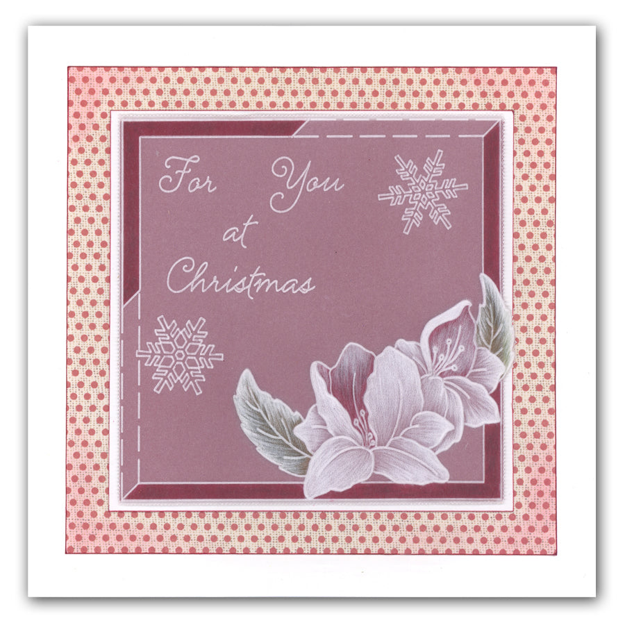 Calendar, Relatives & Occasions Groovi Border Plate Trio