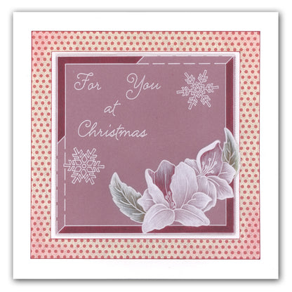 Calendar, Relatives & Occasions Groovi Border Plate Trio