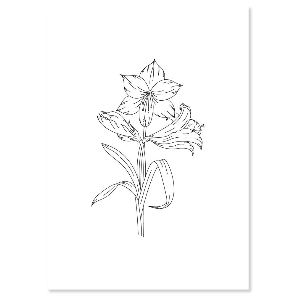 Linda's Amaryllis - A5 Printed Florals Parchment