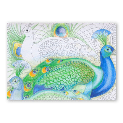 Colouring Postcards - Feathered Friends Collection Sets 1, 2 & 3