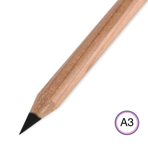Perga Liner - A3 Black Aquarelle Pencil
