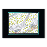 Colouring Postcards - Feathered Friends Collection Sets 1, 2 & 3