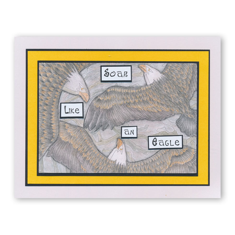 Colouring Postcards - Feathered Friends Collection Sets 1, 2 & 3