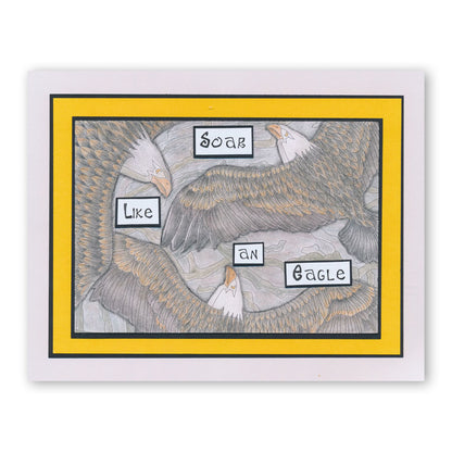 Colouring Postcards - Feathered Friends Collection Sets 1, 2 & 3