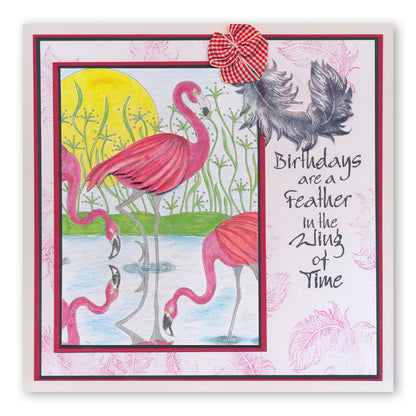Colouring Postcards - Feathered Friends Collection Sets 1, 2 & 3