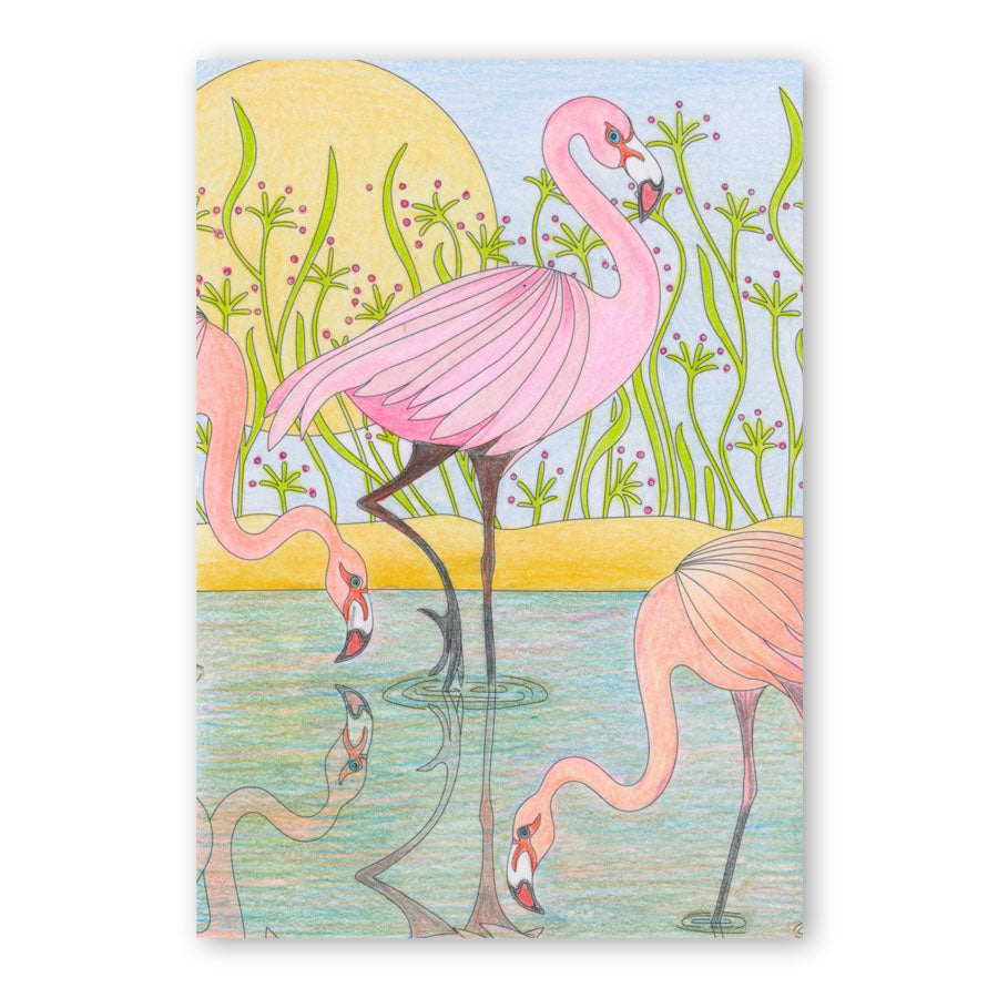 Colouring Postcards - Feathered Friends Collection Sets 1, 2 & 3
