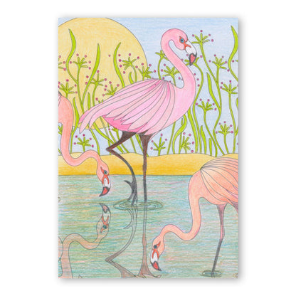 Colouring Postcards - Feathered Friends Collection Sets 1, 2 & 3