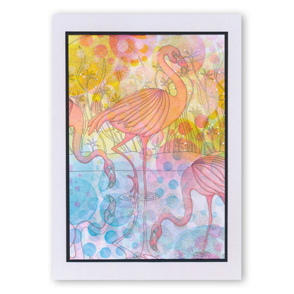 Colouring Postcards - Feathered Friends Collection Sets 1, 2 & 3