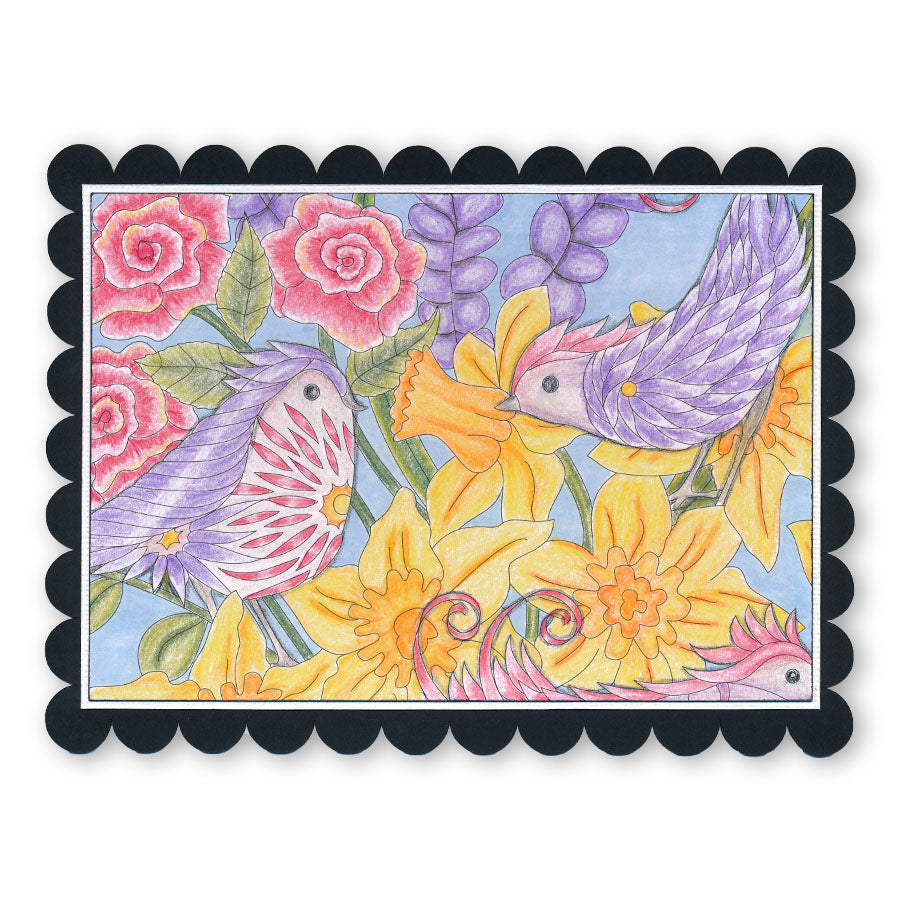 Colouring Postcards - Feathered Friends Collection Sets 1, 2 & 3