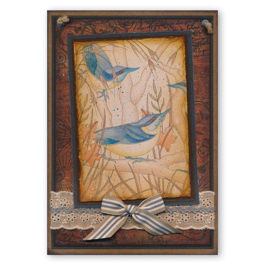 Colouring Postcards - Feathered Friends Collection Sets 1, 2 & 3