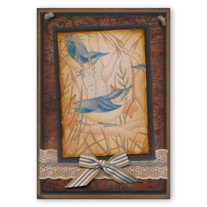 Colouring Postcards - Feathered Friends Collection Sets 1, 2 & 3