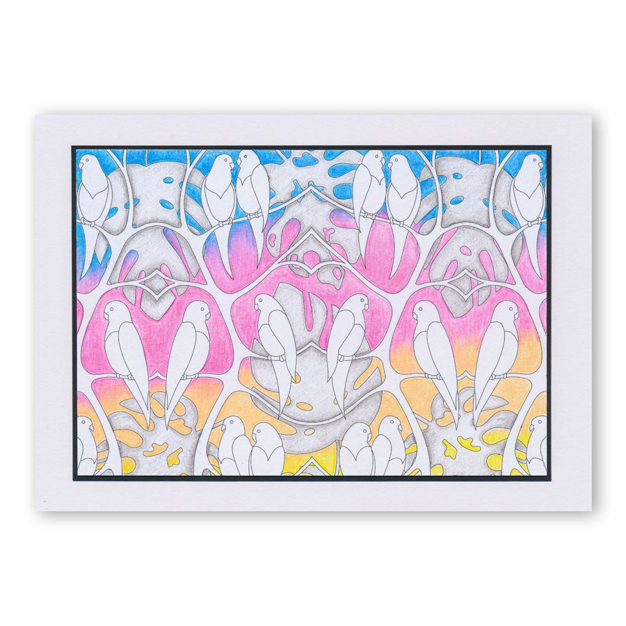 Colouring Postcards - Feathered Friends Collection Sets 1, 2 & 3