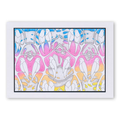 Colouring Postcards - Feathered Friends Collection Sets 1, 2 & 3