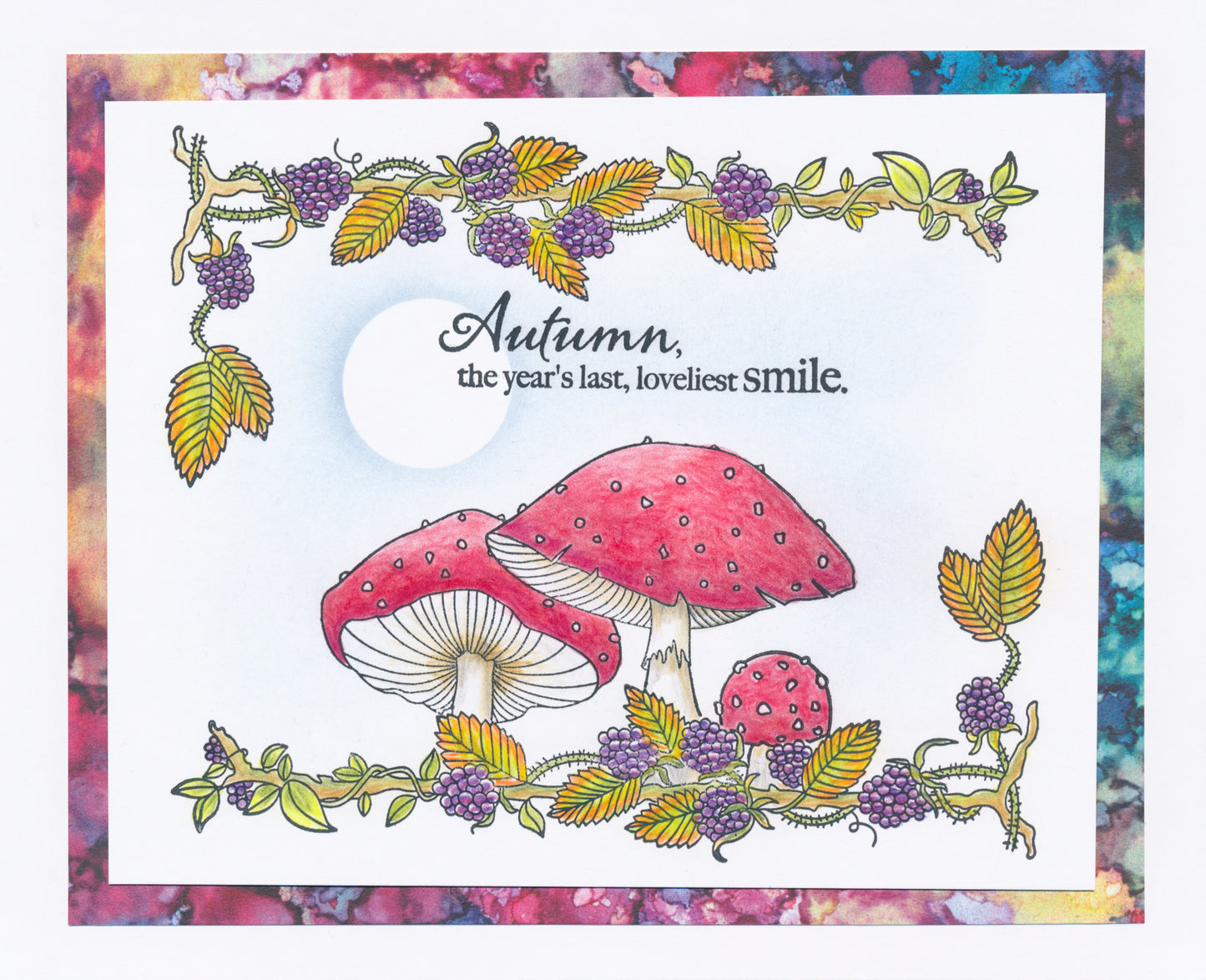 Barbara's SHAC Woodland Honeysuckle A5 Stamp & Mask Set