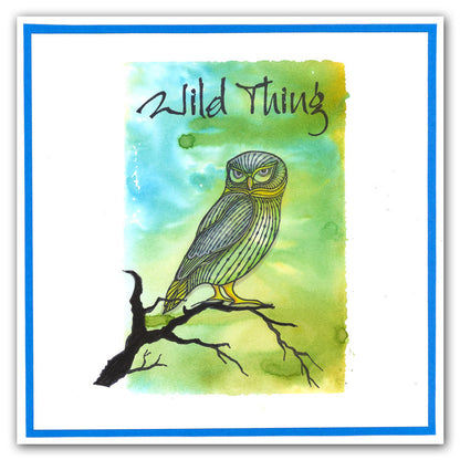 Wise Owls A5 Square Stamp & Mask Set