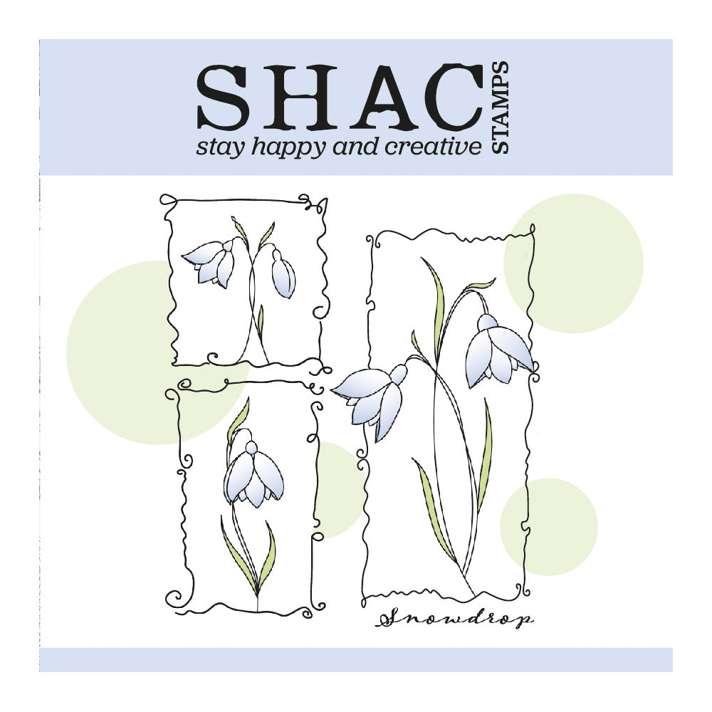 Barbara's SHAC Snowdrop Floral Panels A5 Square Stamp & Mask Set