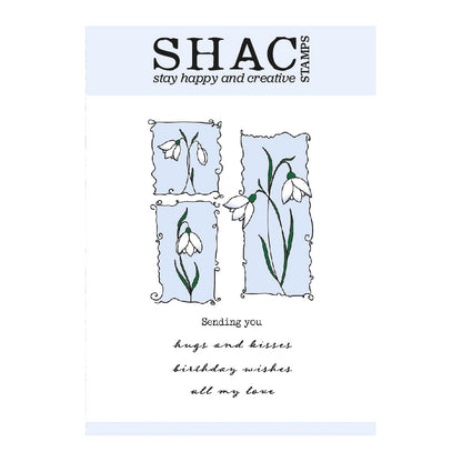 Barbara's SHAC Snowdrop Floral Panels A6 Square Stamp Set