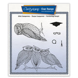 Wise Owls A5 Square Stamp & Mask Set