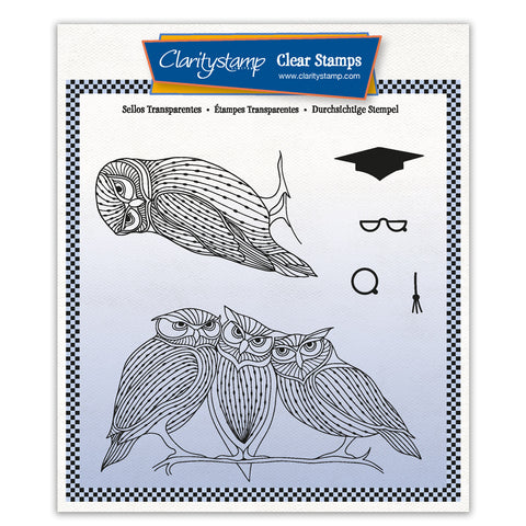 Wise Owls A5 Square Stamp & Mask Set