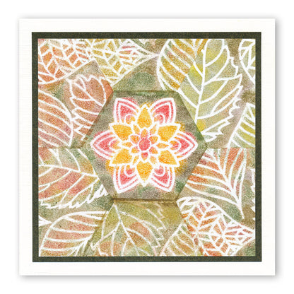 Clarity Petites Stencil Collection