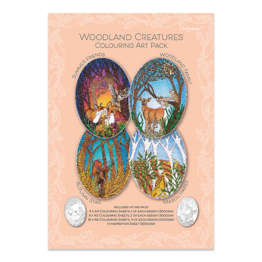 Woodland Creatures A4 Colouring Art Pack